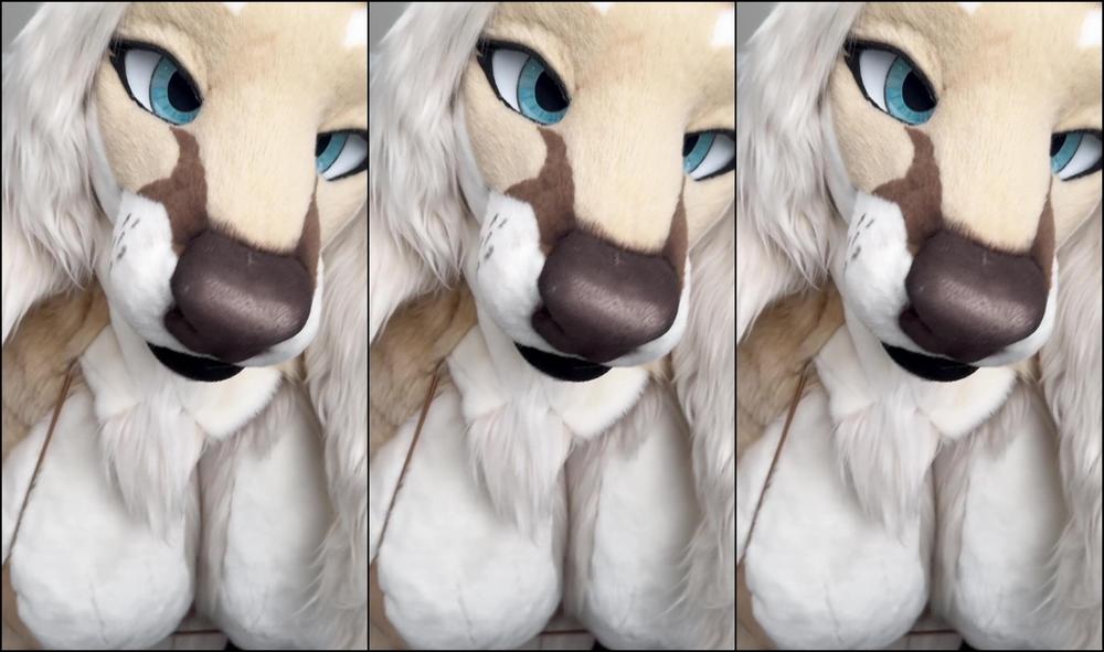 Angel Pups 1635633571 Another Repair Man Falling Right Into Celine S Alluring Trap 01 0I04Flfstcxs6Vek8Pe02 Source