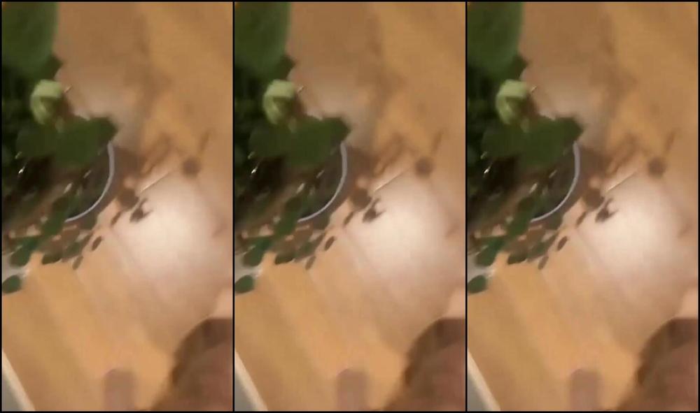 Asian Domestic Zone Self Filmed 07128