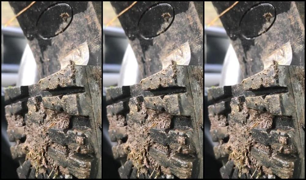 Mistress Athena Nicknamed Mistressathena Onlyfans The Filthy Boot Final Get Your Tongue Deep Between The Tred And Do Your Boot Bitch