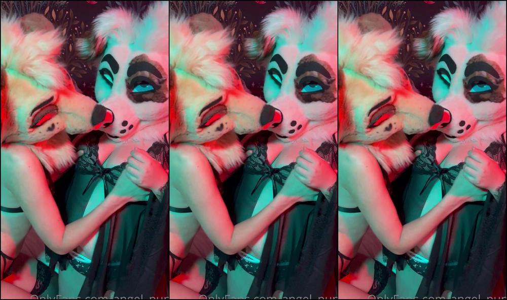 Angel Pups 324793407 Lovely Evening With The Wonderful Saoirsemutt 01 D19D0Bcd 2B0F 499B Bf3B D10Cc9A7691E