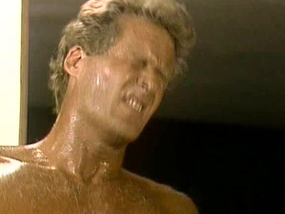 "Tami Monroe, Tori Welles, Jamie Gillis, Peter North, Randy Spears, Randy West" Lesbian, Straight, Hardcore Violation Of Tori Welles Caballero Home Video