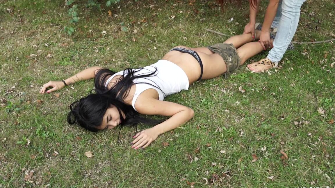 Complete project Dee_2 SiteRip