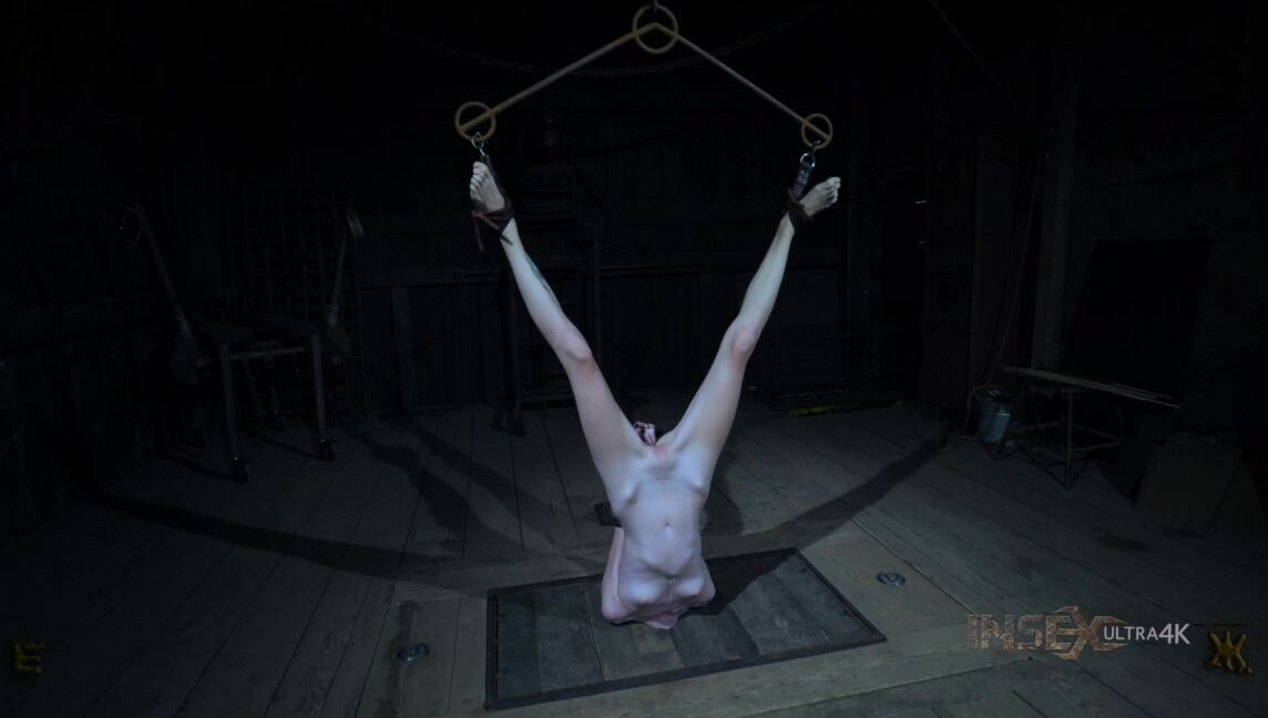 Torture, BDSM, Whipping, Humiliation Brooke Johnson. Neophobia Episode 4 Renderfiend.com