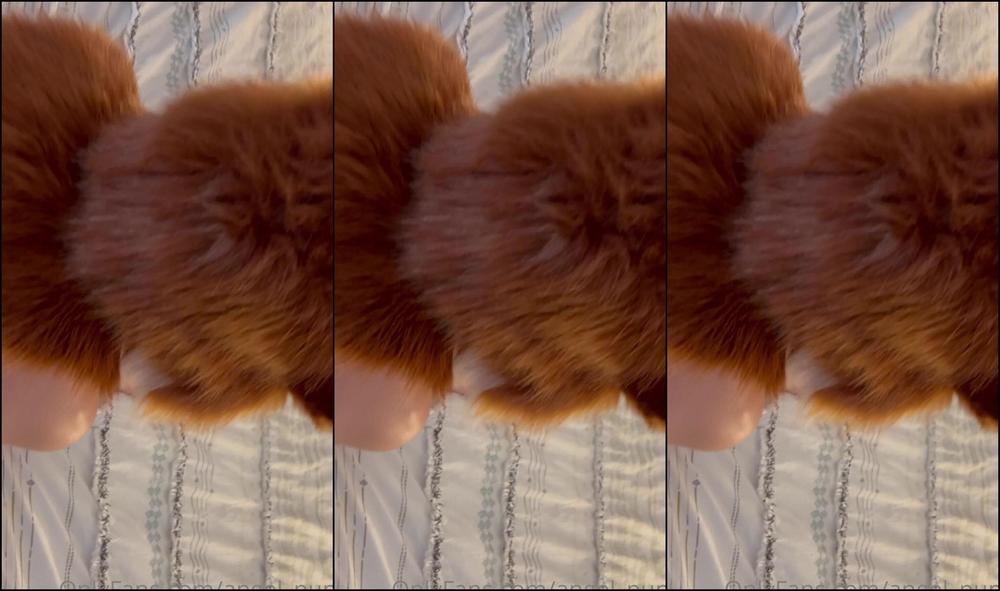 Angel Pups 408283383 Little Weekend Bonus Content For Y All 01 6F674Fba A03B 48Db 9Bd0 D0Fba033C158