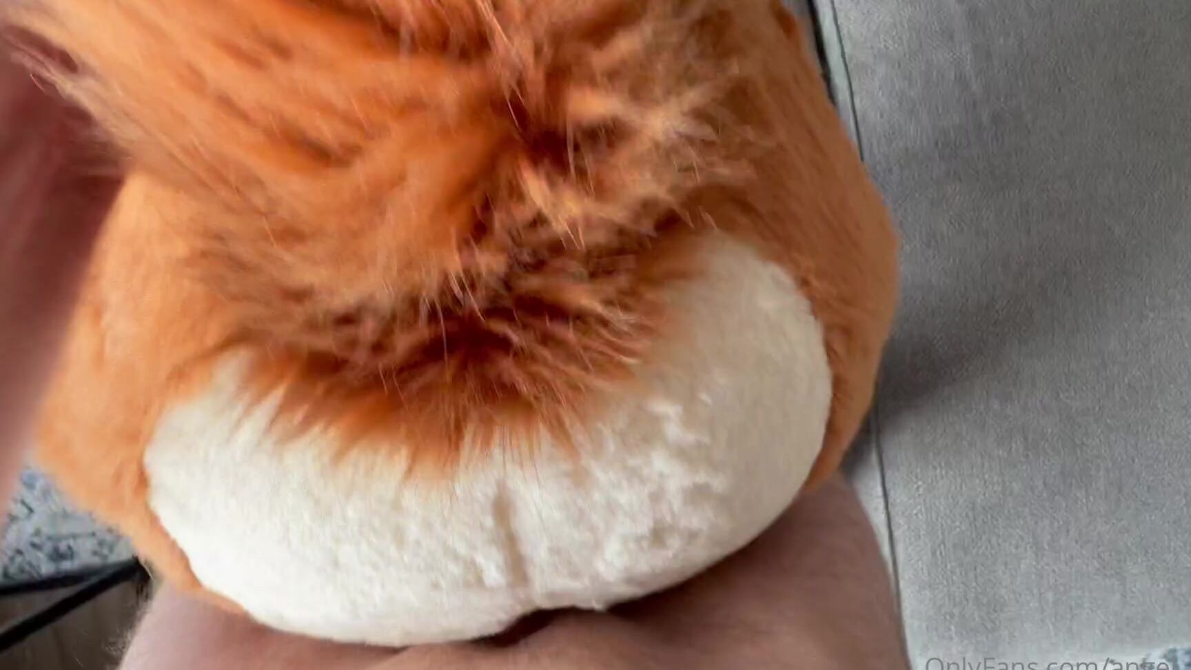 Angel Pups 1269274276 Okok One More Teaser Before The Full Video 01 0Htllj6Ise4O0M2Emsjy3 Source