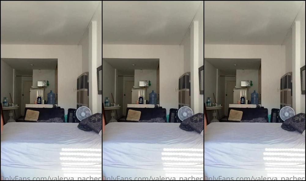 Valerya Pacheco 2395781630 03 17 2022 Can I Come Clean Your House