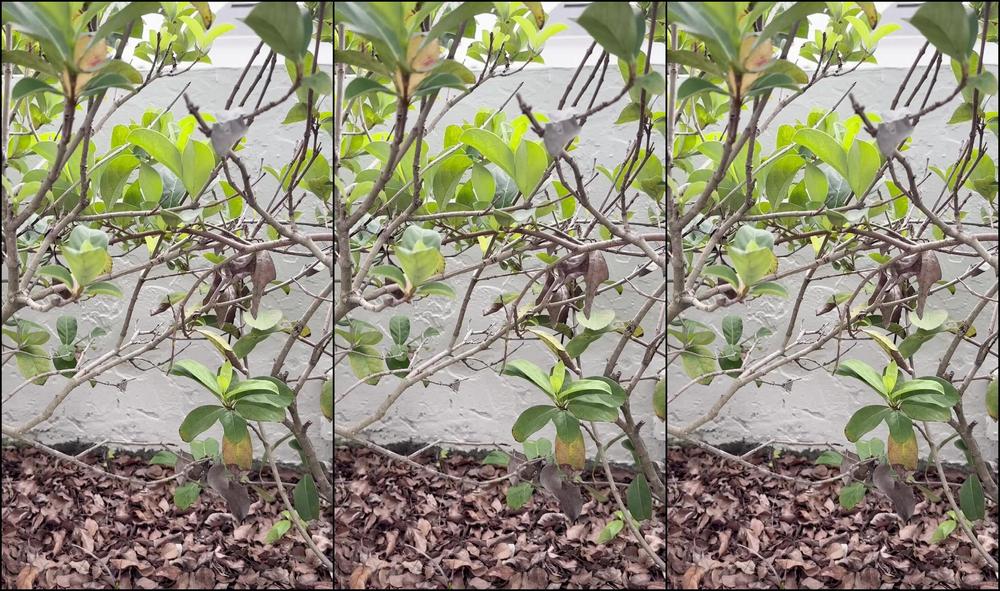 Amelia Wet Angel 3420825893 08 23 2024 This Fucking Creep Stumbled Across Me Sunbathing At The Pool If He Weren T So Good Looking