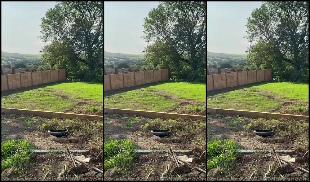 Ladydarkangeluk Onlyfans Update On My Garden Still A Mess Lol But Things Are Getting Better