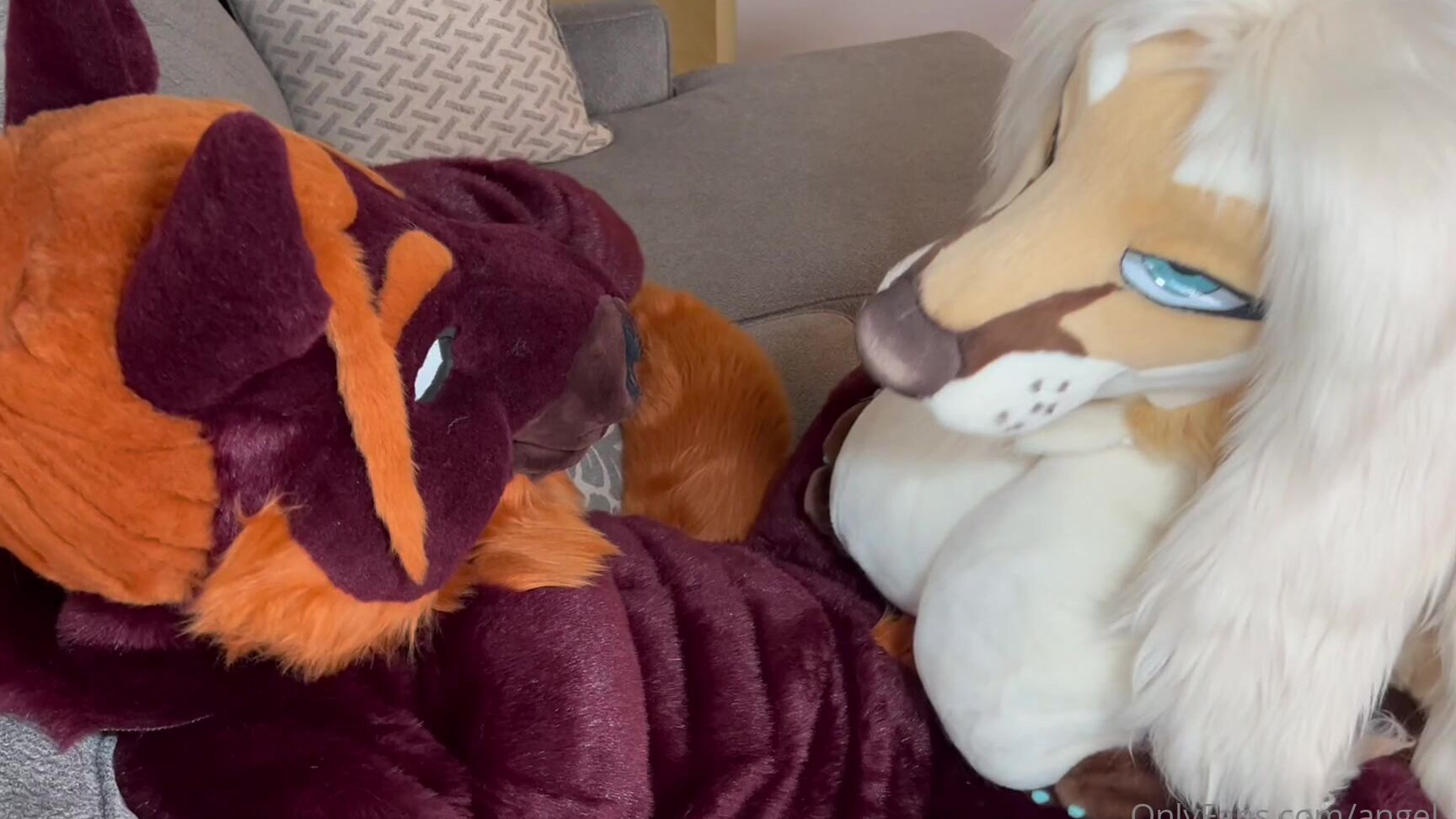 Angel Pups 1027970487 Y All Really Like Nerd Angel We Will Work On Some Content F 01 0Houqyx5W8Fon4R3Ymc7C Source