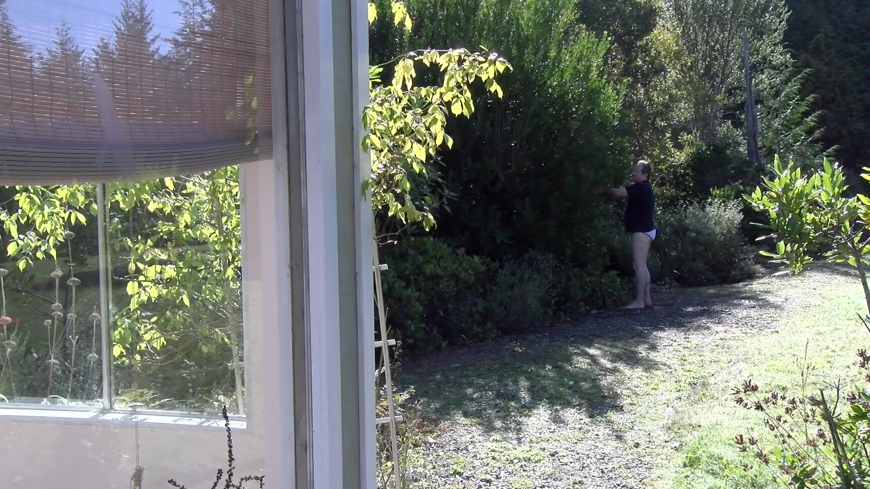 Dana Kane - 438 Clips4Sale