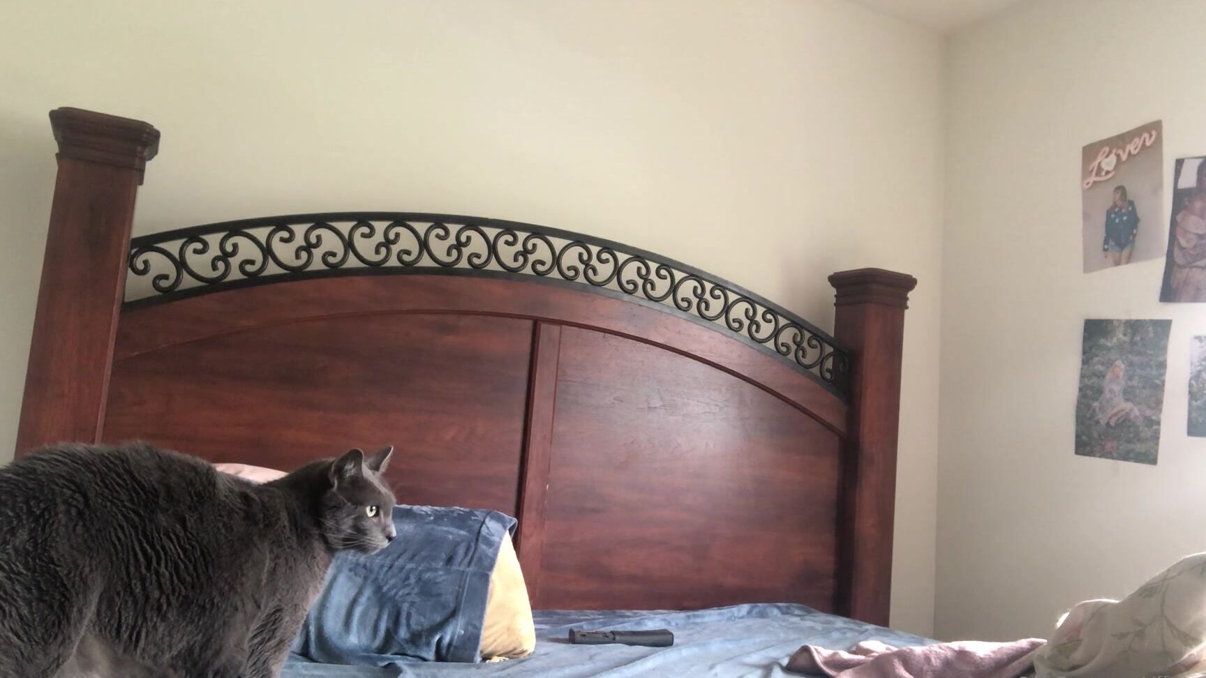 Tiffanyxduhh I Came Lol