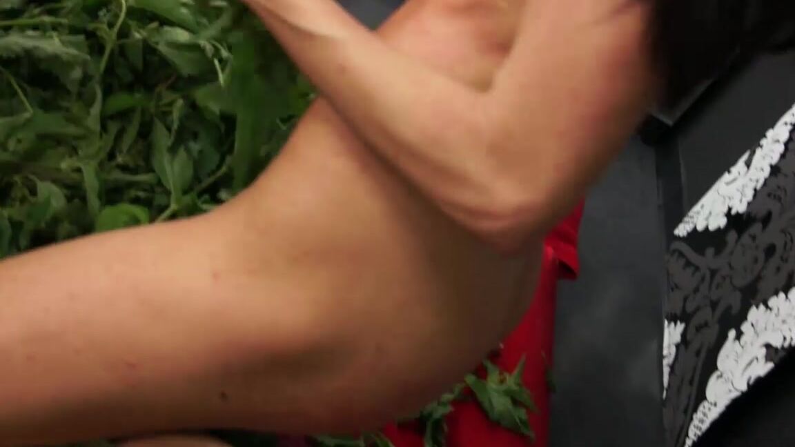 Queensnake Nettle Lovers