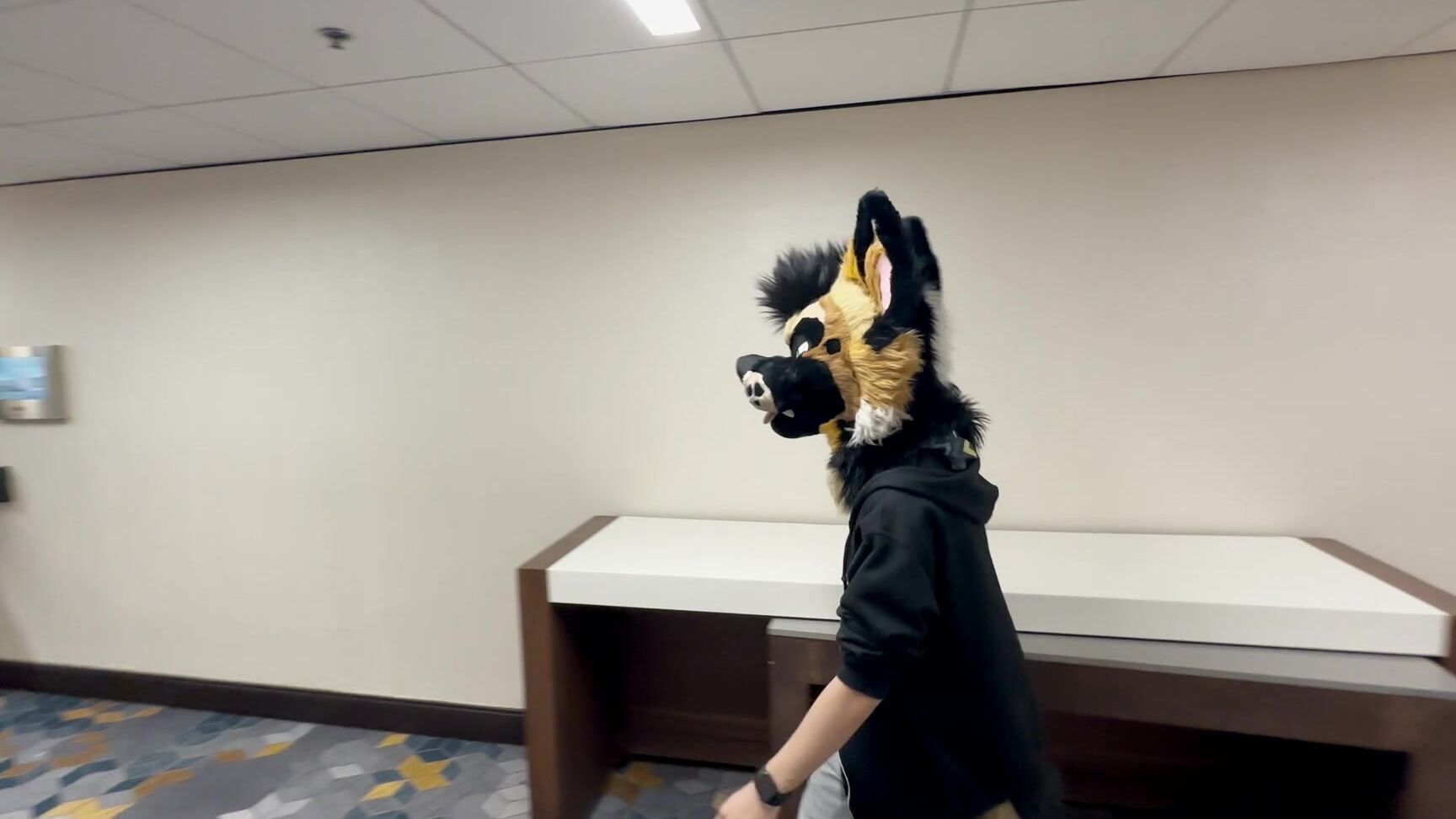 Palacewolf 529921111 Heres That Full Video Of Bullying Ringer In A Lobby Hallway 01 73B73658 3Fd4 4874 8F0D Ec223Cb4Da21