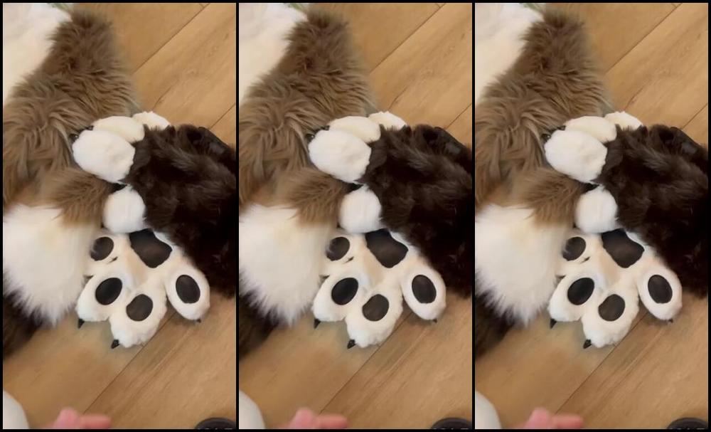 Palacewolf 587688816 Un Related To My Normal Schedule But My Bodysuit For My New 01 28C86370 Fe95 4Bdb B25A F832C3B9E079