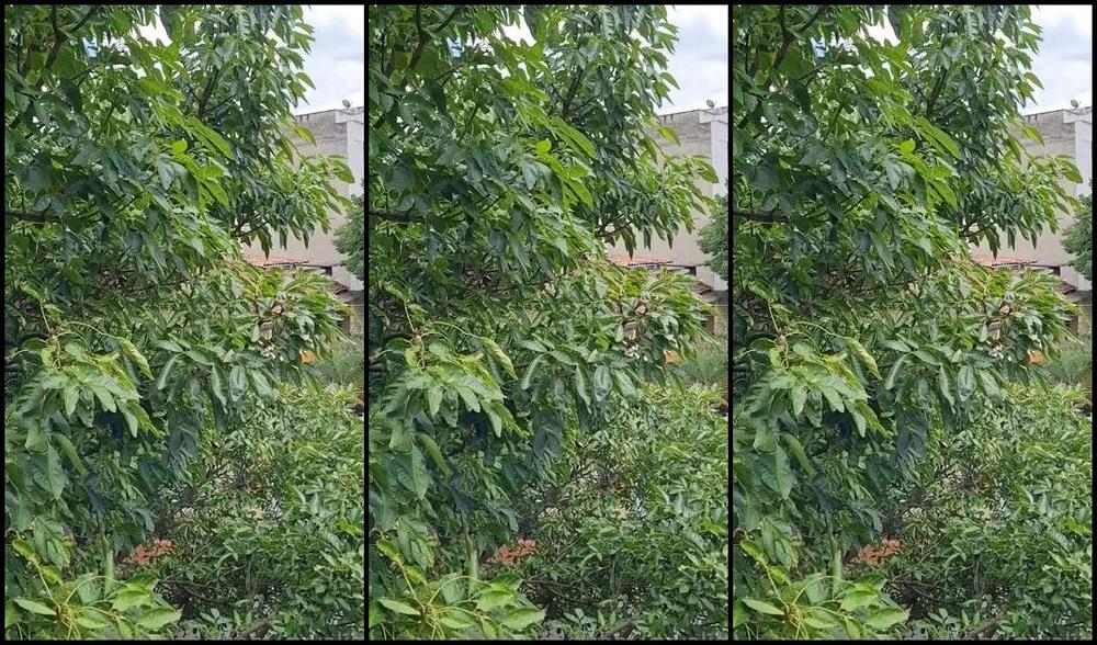 Evvalion Nicknamed Evvalion 05 26 2021 Onlyfans Video Good Day Babies Surprises Comes Here You Will See