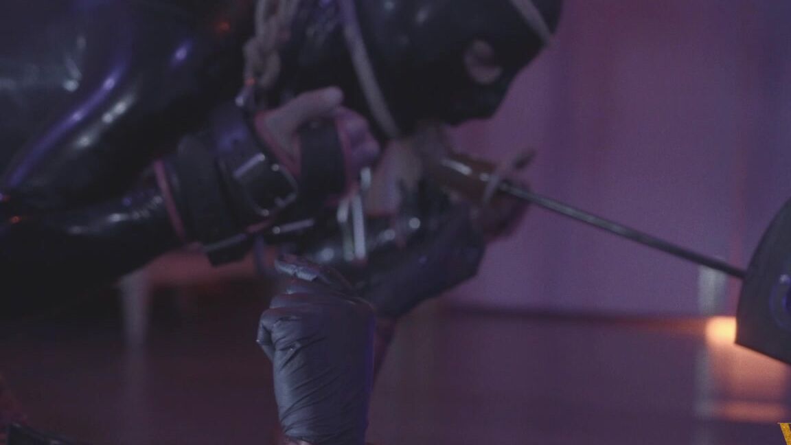 Vivienne Lamour Double Fuck Machines For The Drone