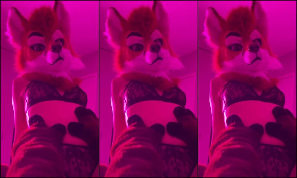 Angel Pups 531582802 Mocha Always Looks So Huffy And Expressive 01 7135B9Fe Bba1 4104 8384 A83D44Ce558C