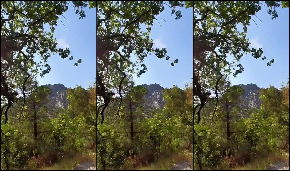 yoyagrey-02-02-2022-2320978743-how-about-giant-creampie-in-the-woods-please-don-t-forget-to-subscribe-to-thegreys