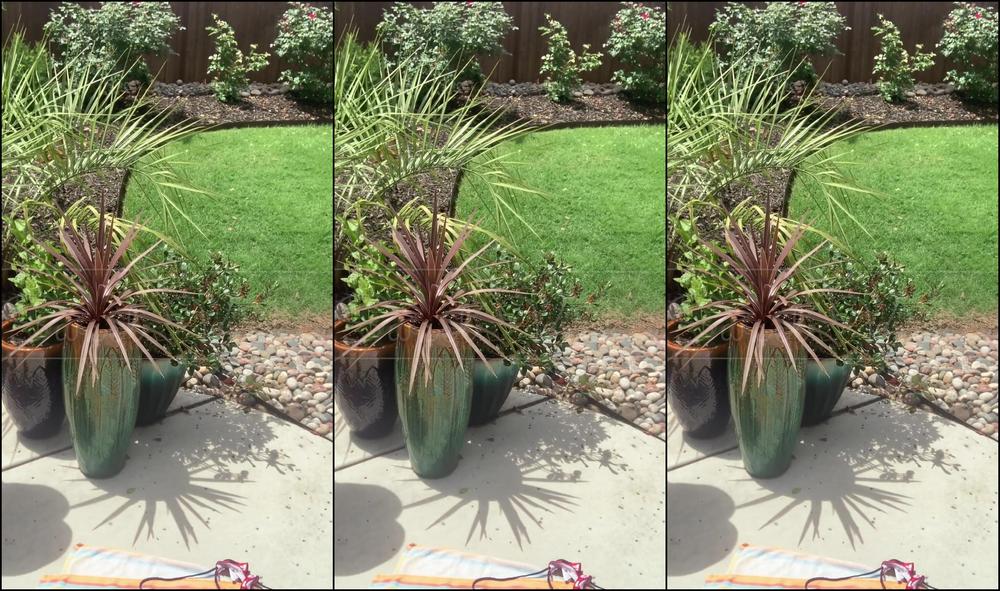 sweetvickie bikini modeling and playing with dildo manyv manyvids