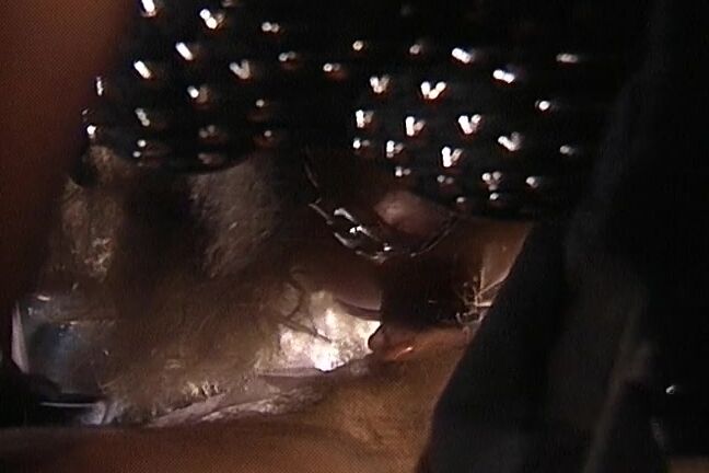 "Victoria Paris, April West, Sasha Sean, Kelli Warner, Charli, Joey Silvera, Scott Irish, Tom Byron, Buck Adams, Ray Victory" Classic, Drama, Feature, Interracial, Thriller Strange Curves VCA