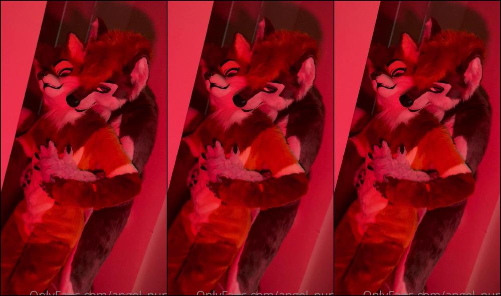 Angel Pups 278106346 Giving My Wolf A Little Dance 01 5E9B1C08 8B3E 417F Ad8A 182D7Ddf4Ee9