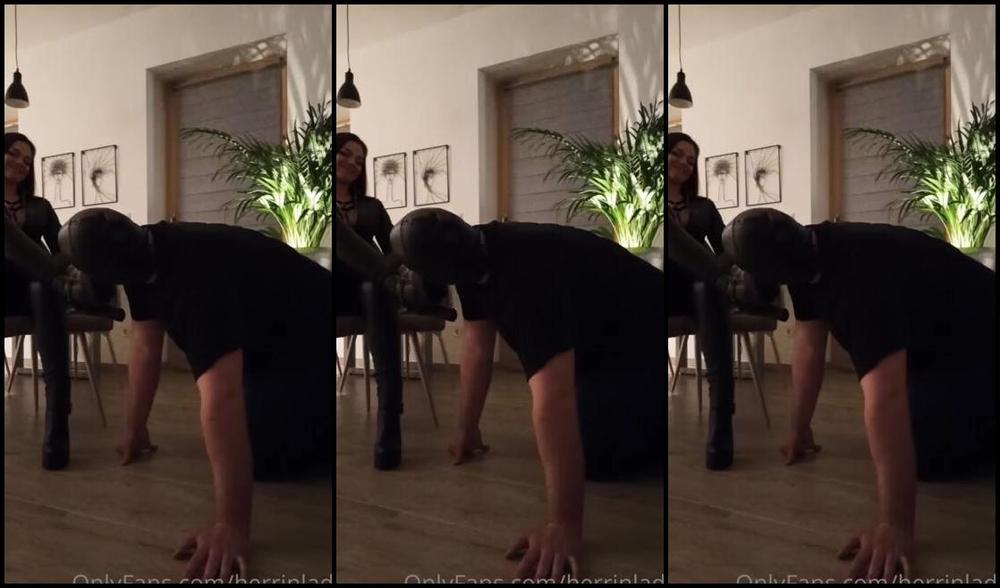 Herrinlady Onlyfans Kommt Ein Kriecher Zu Besuch Auf Allen 4 Darf Er Mir Die Stiefeletten Lecken Und Sein Hart Erarbep