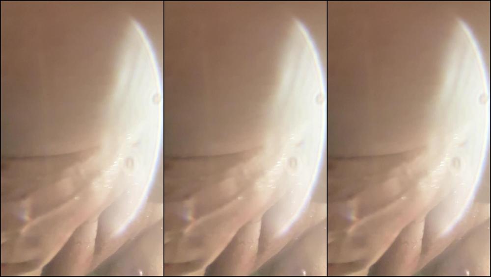 Fme2Oblivion 3635143779 01 06 2025 Hoping To Post Daily For You This Year And Be More Active On Here In General