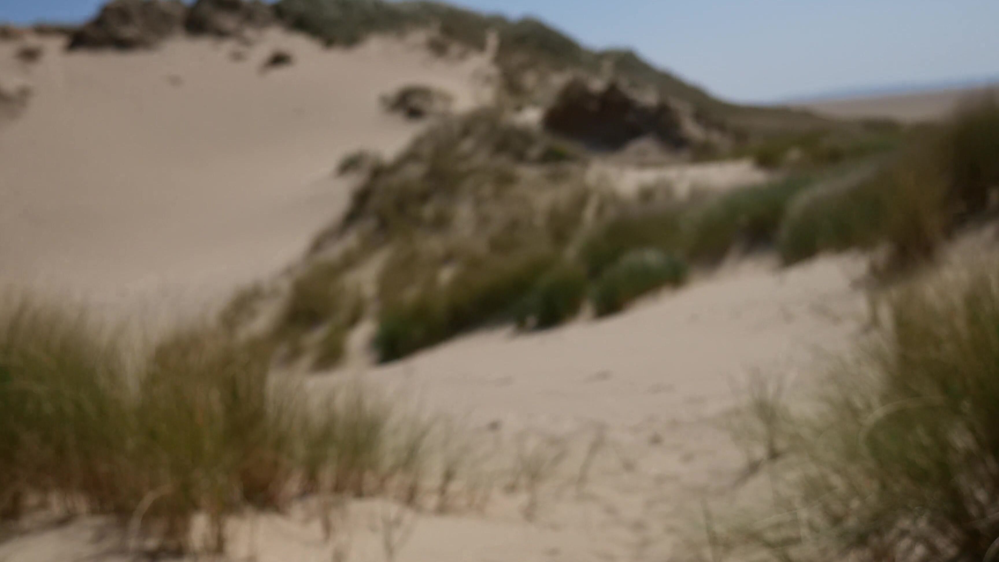 Sweat Pussy on the Beach EmmaPeach.com PornHubPremium