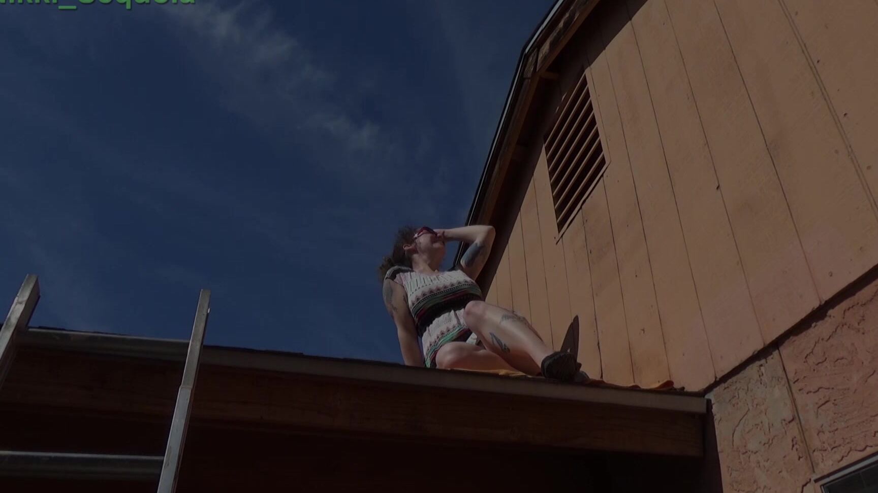 Nikki Sequoia Piddler On The Roof