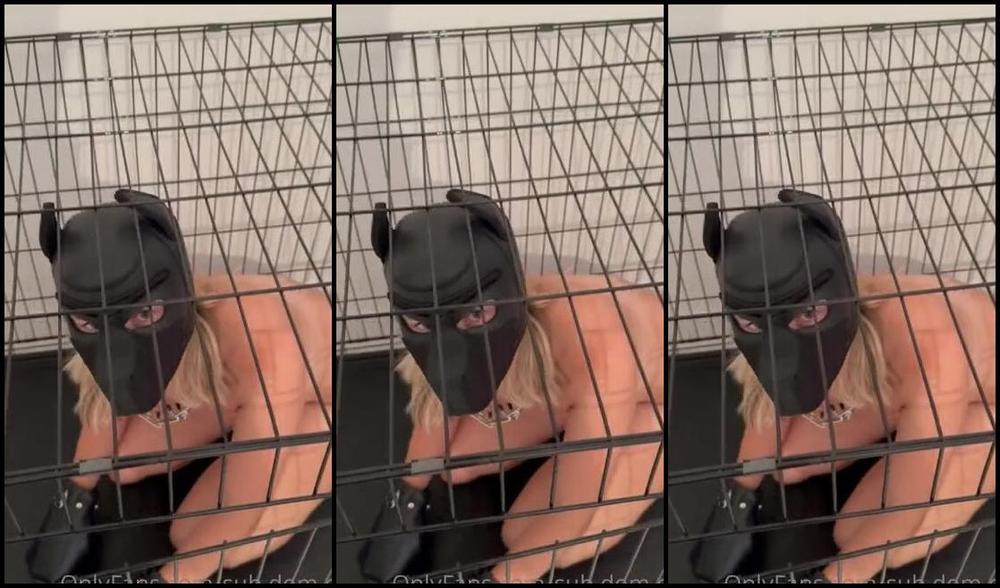 Jazzyyluxx Nicknamed Jazzyy Luxx 07 21 2023 Onlyfans Video Heute Mal Zur Abwechslung Etwas Petplay