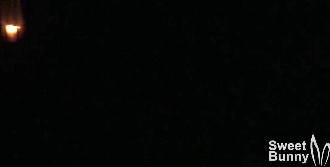 Sweet Bunny HALLOWEEN2019 - the Haunted Forest PornHubPremium