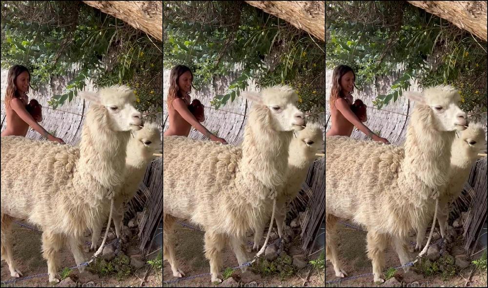 0H9Vo6Vvn1Wo0B8K2M2Ly Source