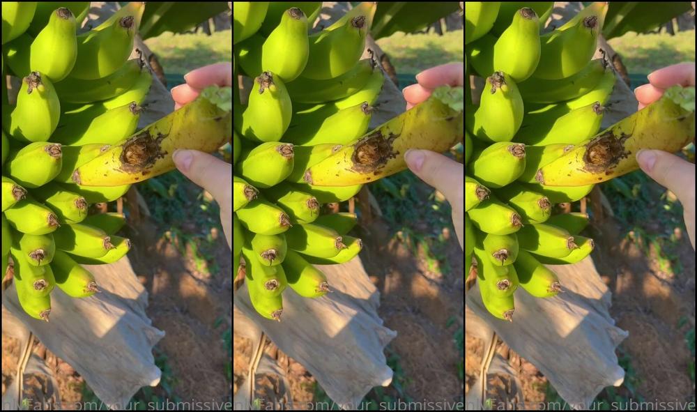 Your Submissive Doll I Needed To End A Day Spent With My