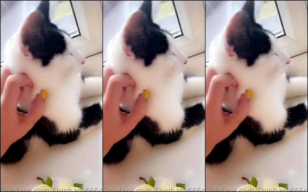 Epiphany Cb Last Week Was Insanely Busy With So Much Filth Travelled Over Miles Around The Uk To F