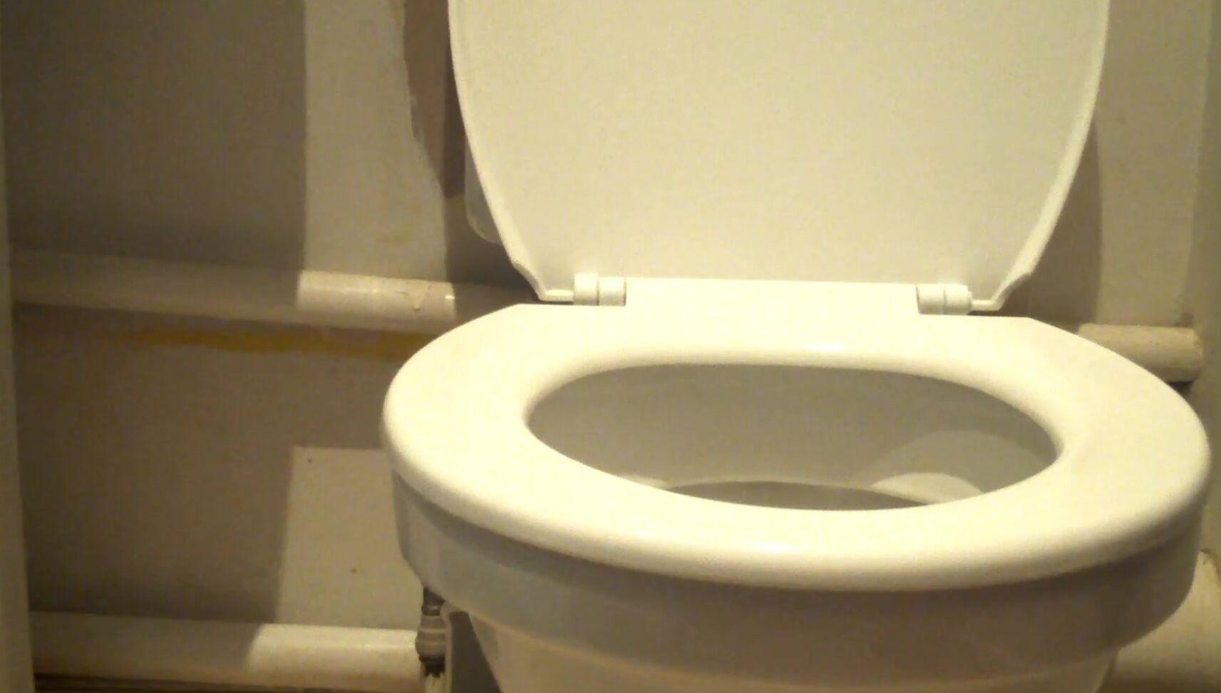 Sophieshox P In Toilet