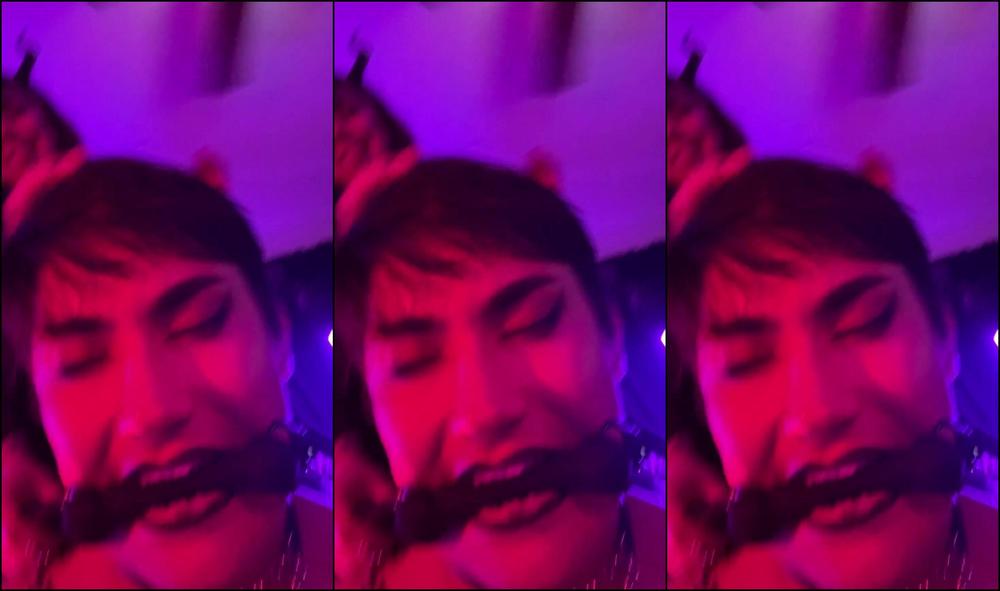 Jades Jungles 2024 08 12 At 14 06 Id 679486504849911813 Hash2 0B749B3Cb34E4Bb2F4B8185E5Cb44Bfb