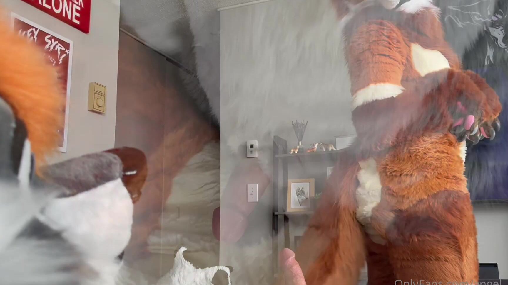 Angel Pups 1107804819 Mocha Loves Bouncing In Her Wolf S Lap This Weeks Full 01 0Hqh81666M2Dldu3Gxemn Source