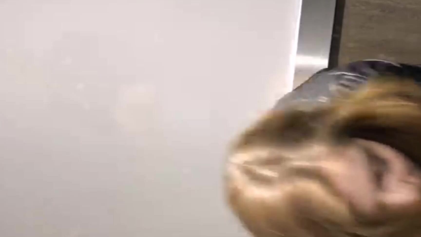 Amateur, Blowjob, Public Blowjob, Fantasy kittycashew1 suck and fuck in a elevator ManyVids