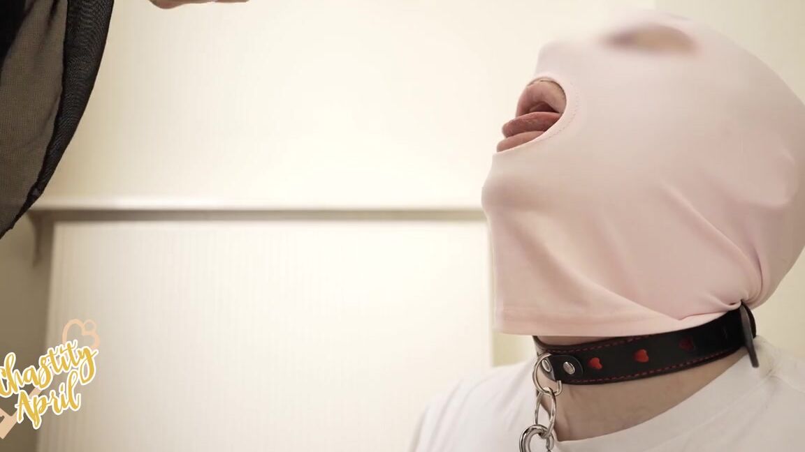 Manyvids Chastity April Voiced Making My Slave Suck My Straponp