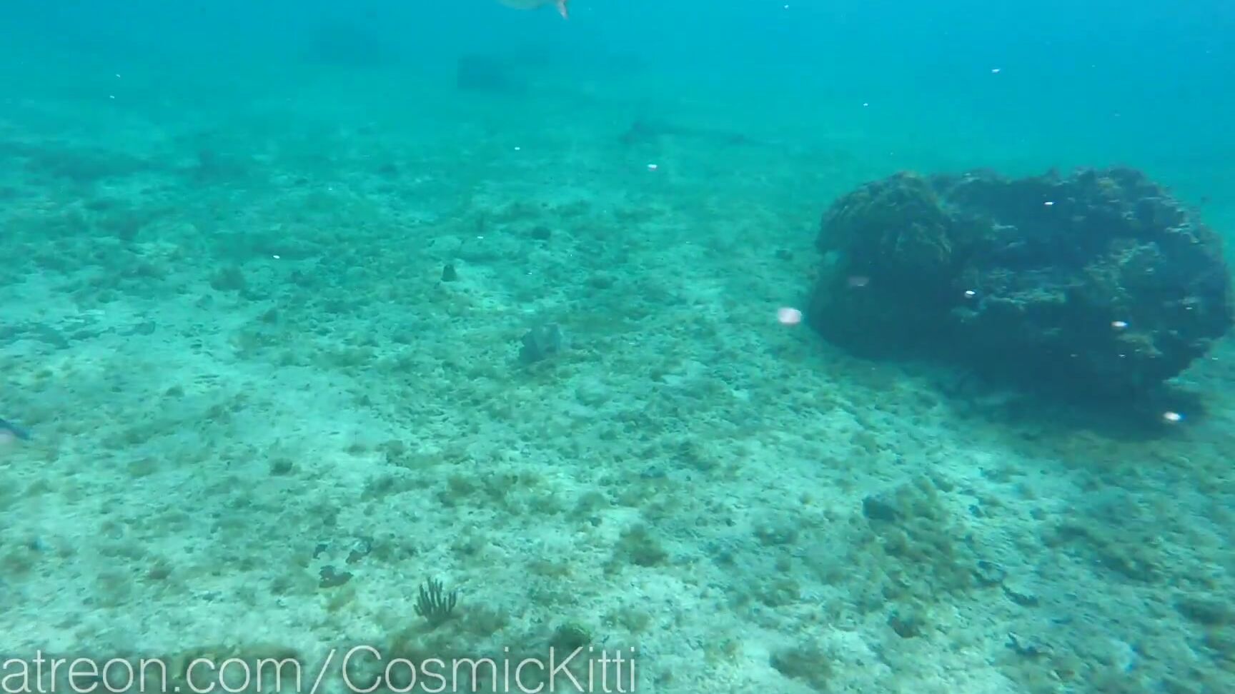 CosmicKitti My boobs help me float while snorkeling in the ocean Pornhub