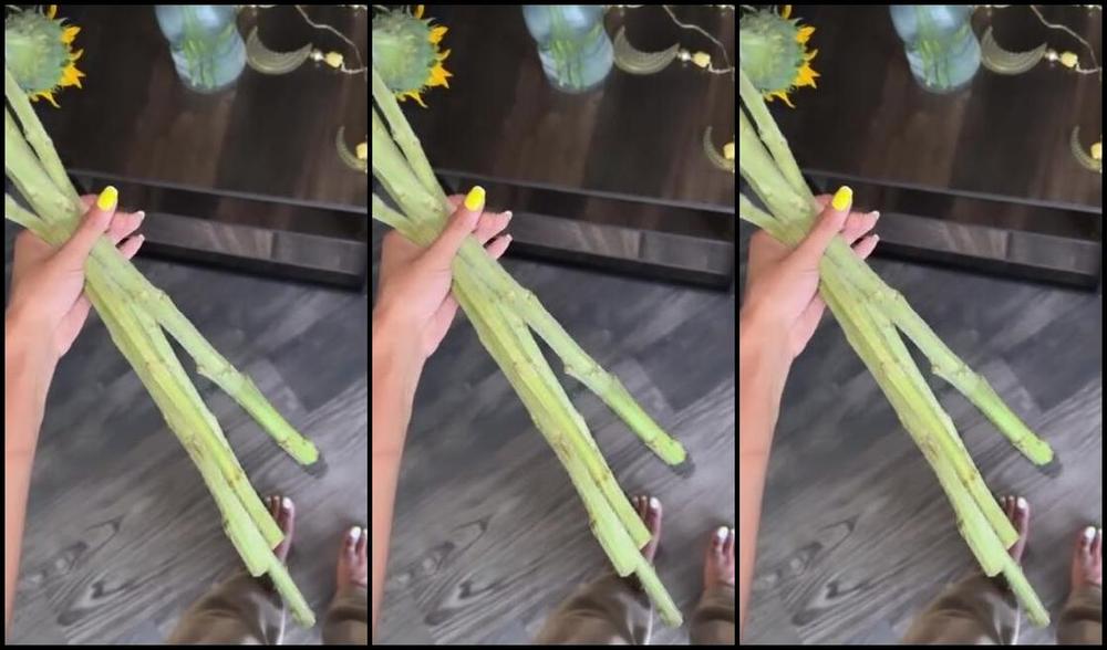 Zafeetllc Onlyfans Flowers For My Pretty Feet Dallasfootmodelsent