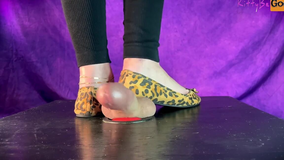 Kittybegood Nicknamed Mskittybegood 11 25 2023 Onlyfans Video New Ppv Video Available For Purchase In Your Dms Shoejob Cumshot With Flats On Cockbox