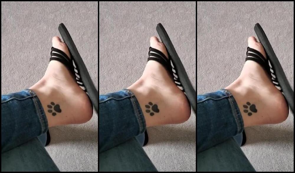 Sloans Paws Nicknamed Sloan Paws 12 26 2019 Onlyfans Video A Little Flip Flop Dangle For Boxing Day Hope You Guys Had A Great Christmas