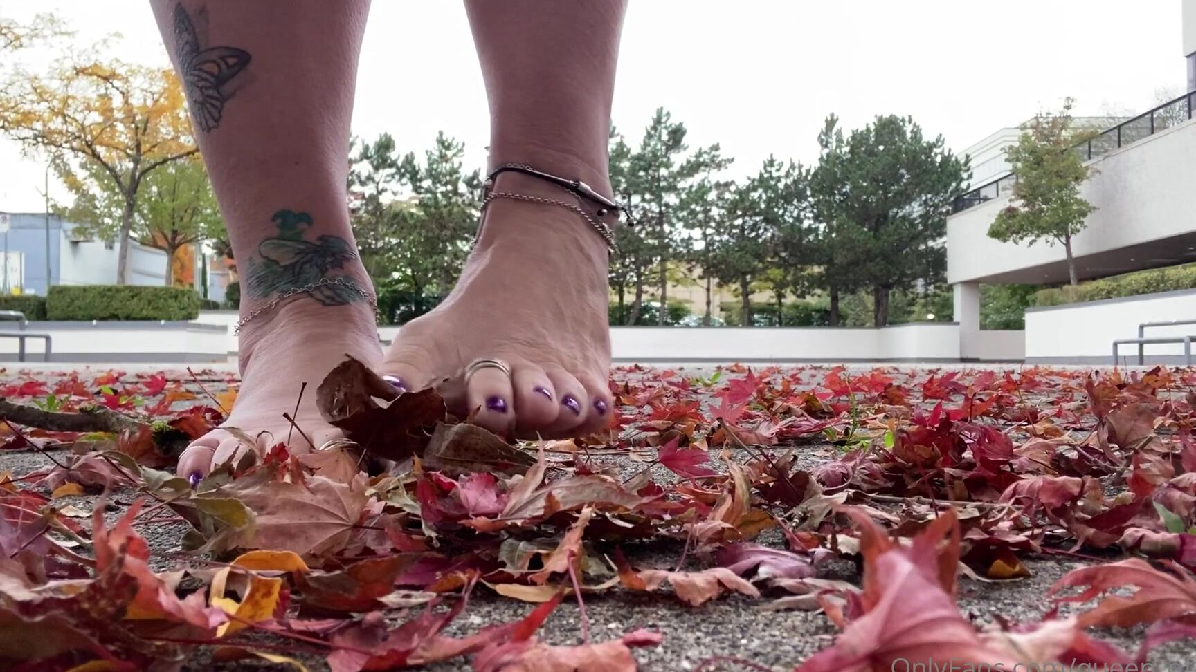 Monkey Solez I Ll Break Ya If That S What You Need