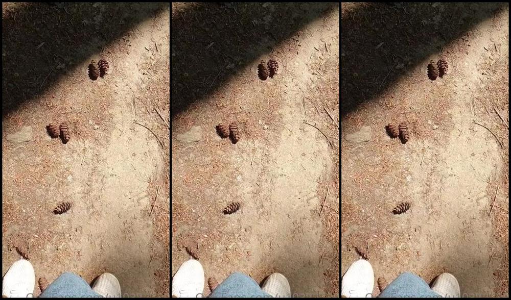 Princess Kitty Cash Nicknamed U103727305 05 24 2022 Onlyfans Video Hrrrrr Ich Liebe Dieses Gerausch Ton An