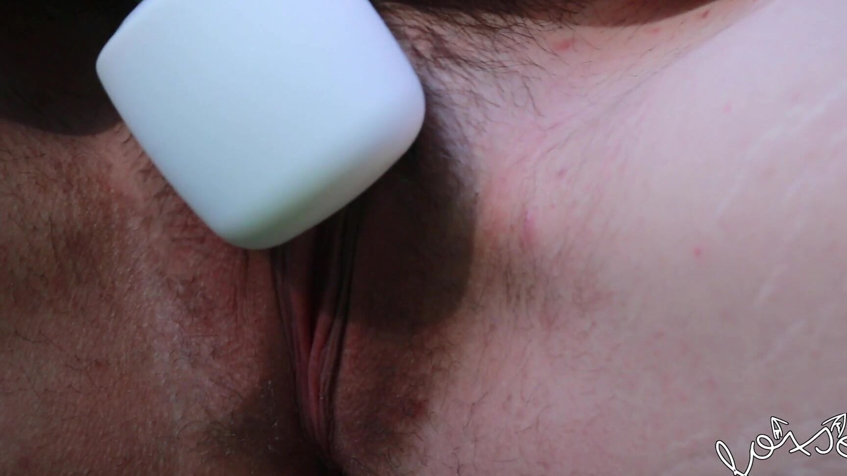 Foxsea Posting This Again Cause I M Going To Spe