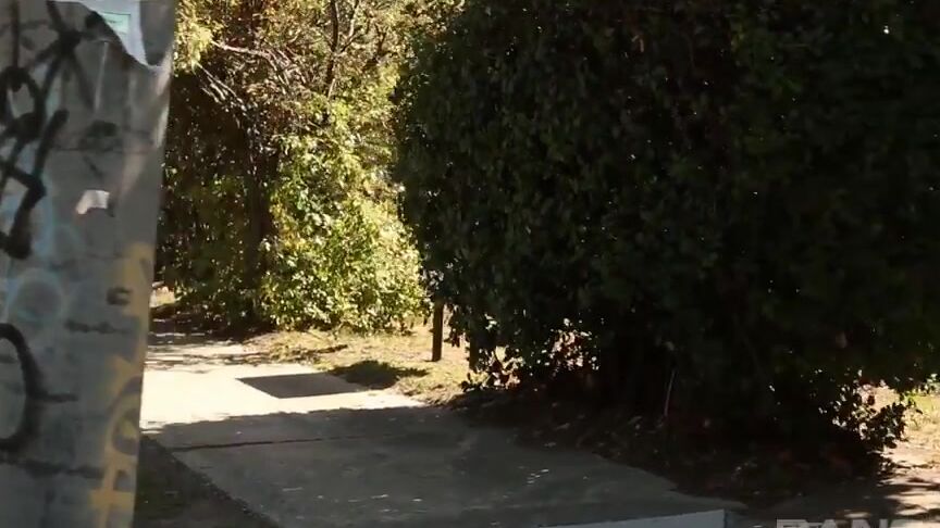 "Mix"Vintage Summer Vibes_4 SiteRip