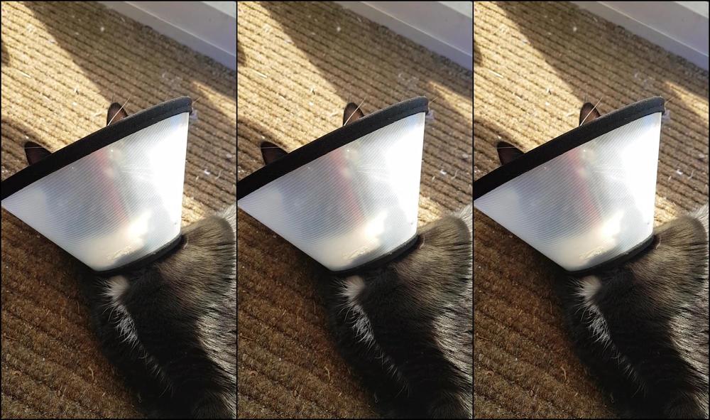 Adreena Angela Not Sure If My Friend In Boston Is Still Subscribed But If So This Is For You