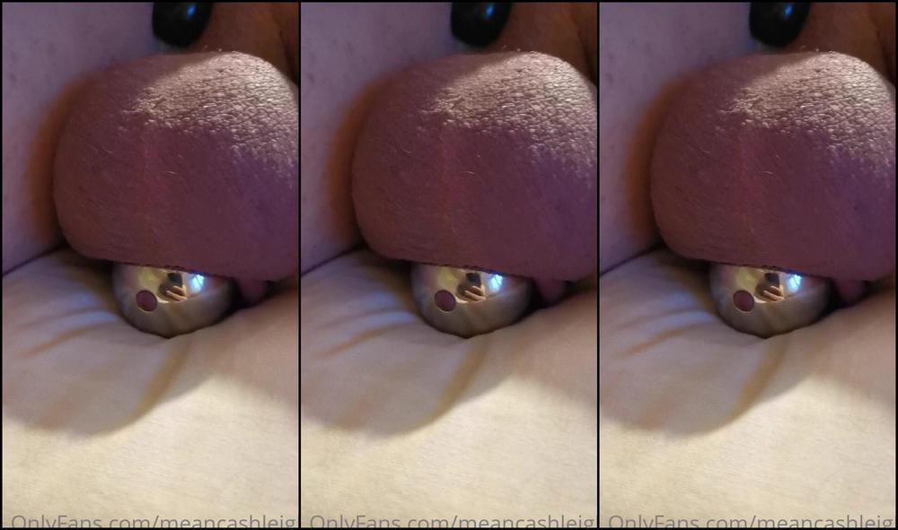 Meancashleigh Onlyfans Video 483