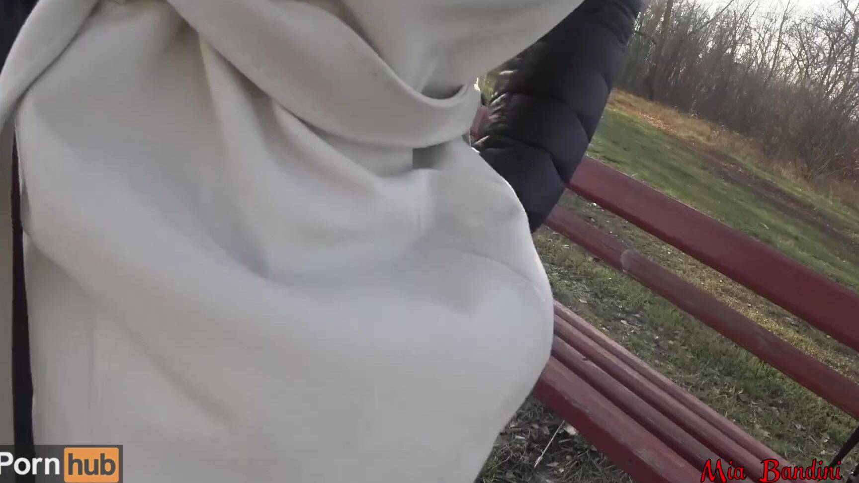 mia bandini 025 Real public sex. Beautiful teen fucks on a park bench and shows her perfect PornHubPremium